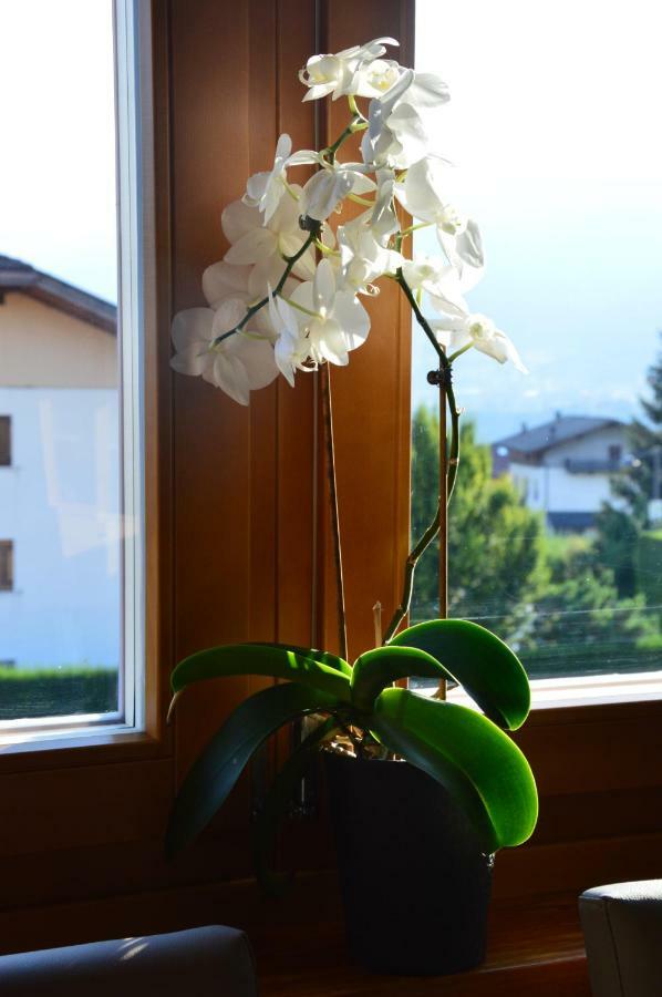 Appartement Il Nido Dei Sogni Sanzeno Extérieur photo